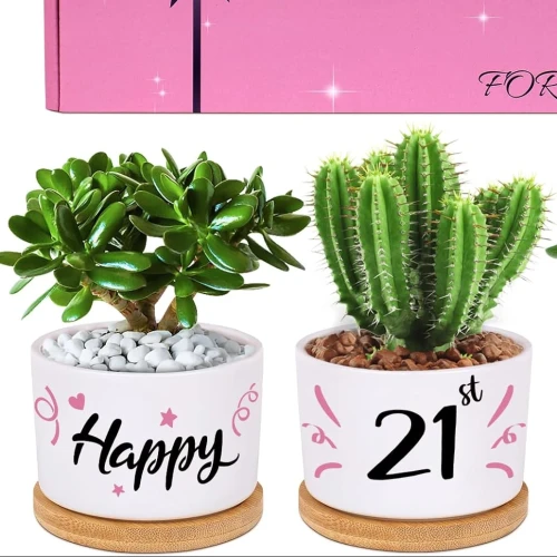 Keepsake 21st Birthday Plant Pots